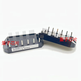 全新PM25RL1C120