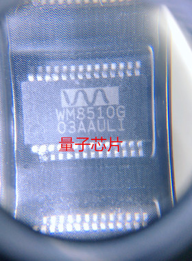 全新WM8510G WM8510 SSOP-28