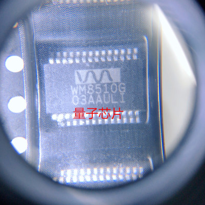 全新WM8510G WM8510 SSOP-28