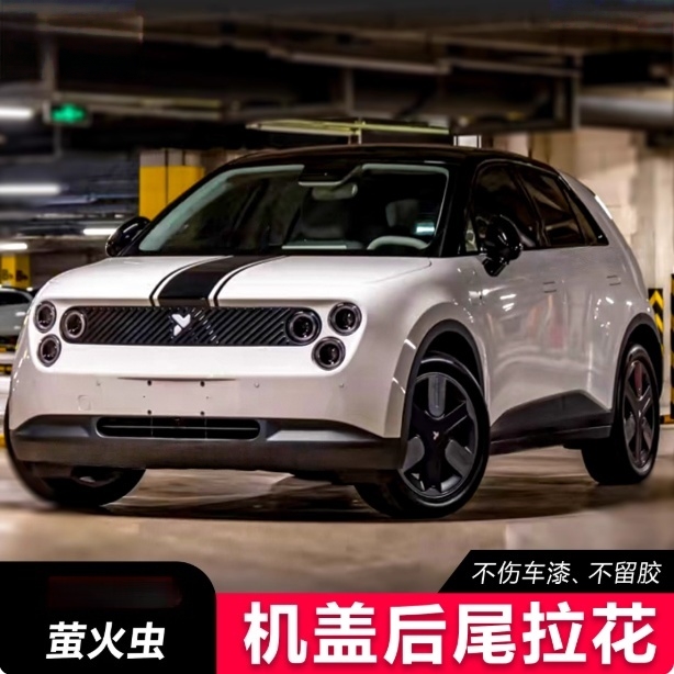 蔚来萤火虫车贴拉花个性海鸥海豚埃安UT彩条车身引擎机盖贴纸定制