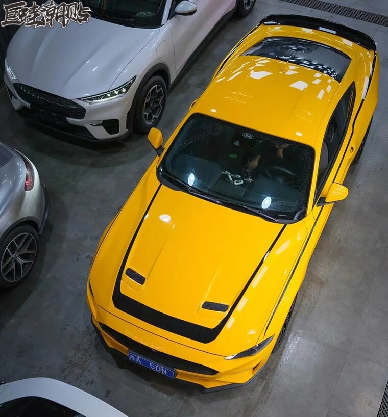 巨蛙潮贴纸全车福特野马Mus