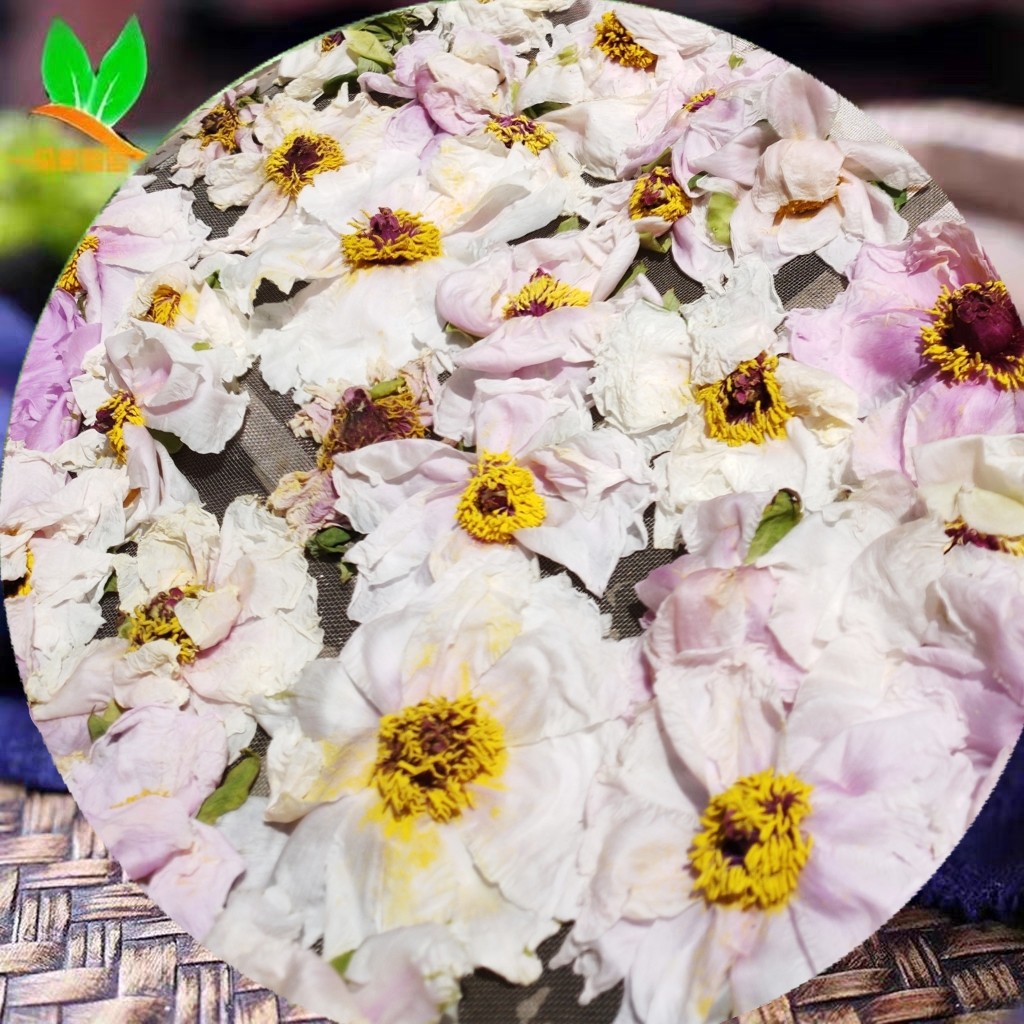 新货牡丹干花 丹凤白牡丹 牡丹花瓣  农产品不打农药 500克包邮