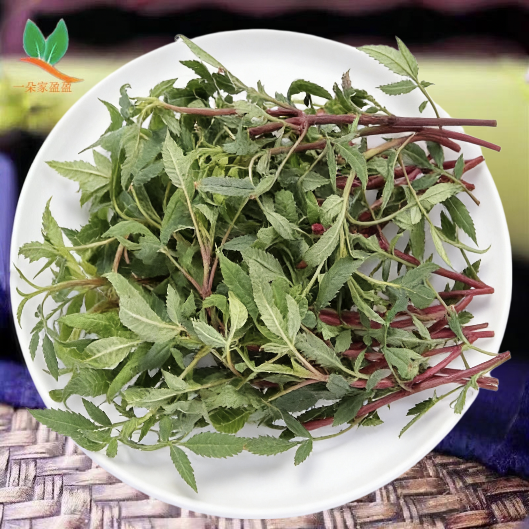 推荐新鲜芳香万寿菊枝条叶片百香果味鲜叶花卉芳香原材料香薰香草