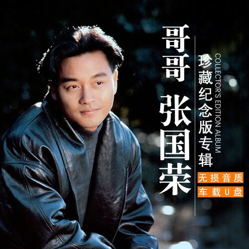 张国荣精选歌曲车载U盘怀旧经典老歌无损高品音质车音乐优盘MP3