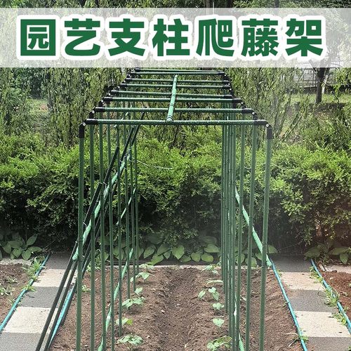 户外蔬菜种植支架黄瓜葡萄搭架杆