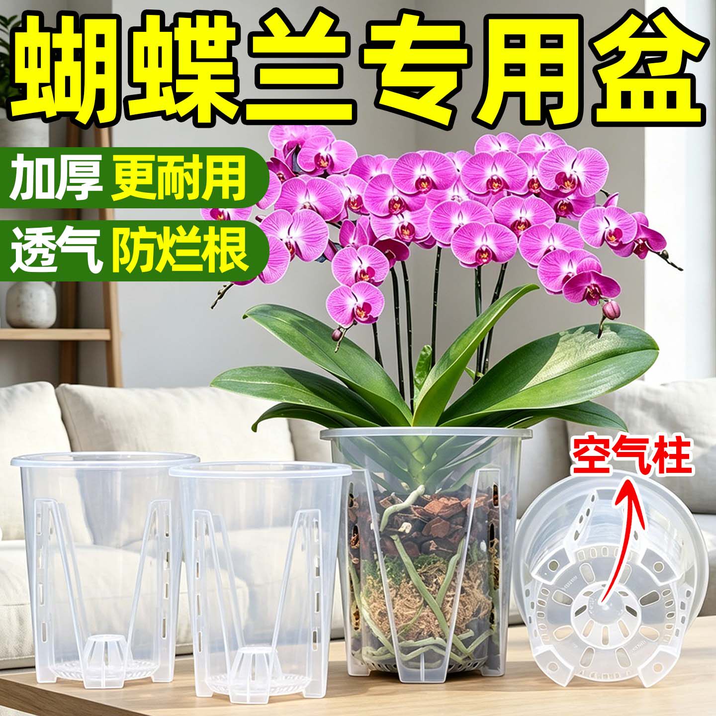 兰花专用透明控根透气花盆图片