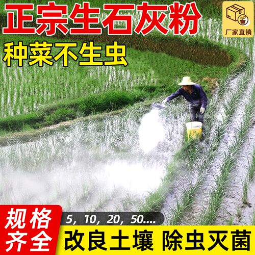 种菜生石灰粉杀虫消毒改良土壤