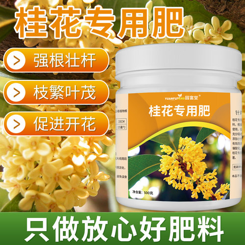 桂花专用肥料复合肥银桂养护花通用绿植花肥家用金桂防治黄叶枯叶 - 封面