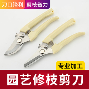 不锈钢树枝修枝剪园艺园林花木剪果树花卉枝嫁接强力蔬菜剪刀工具
