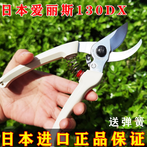 日本爱丽斯花剪剪刀日本进口