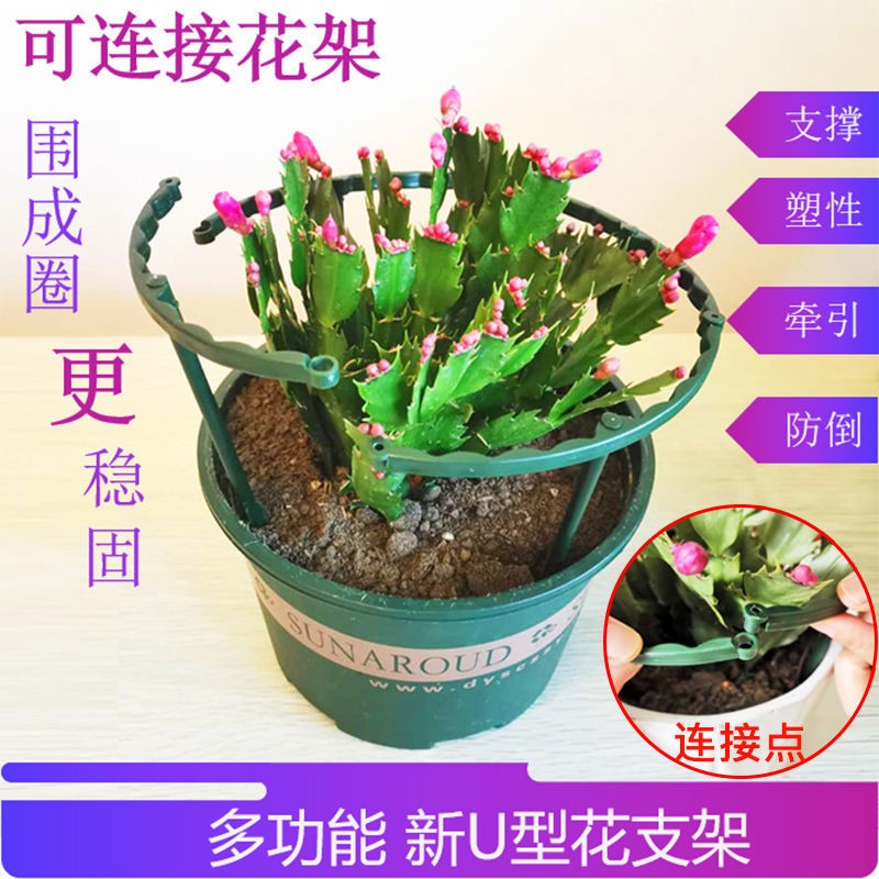 蟹爪兰花架支架太阳花支撑倒伏新