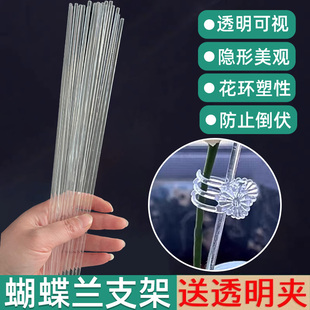透明蝴蝶兰支架植物固定夹子造型防倒伏园艺花卉专用花枝叶支撑杆