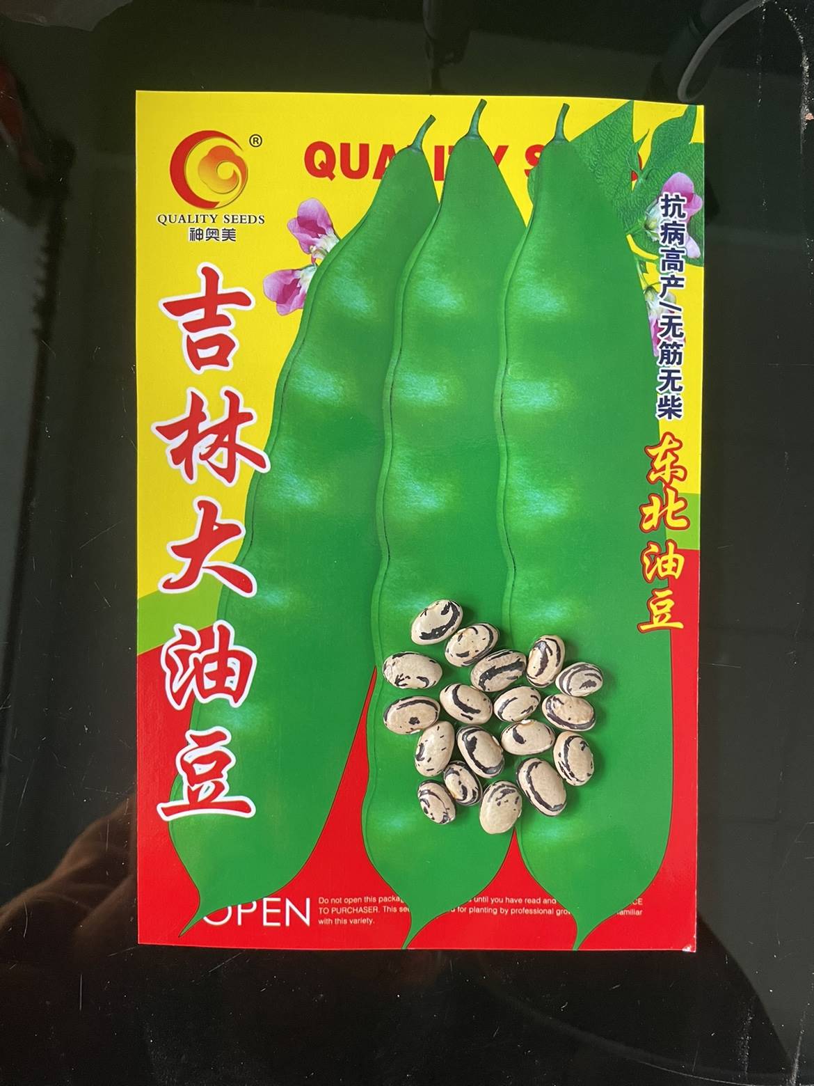 东北吉林大油豆豆角籽搭架油豆角种子面糊好吃春季蔬菜种子包邮