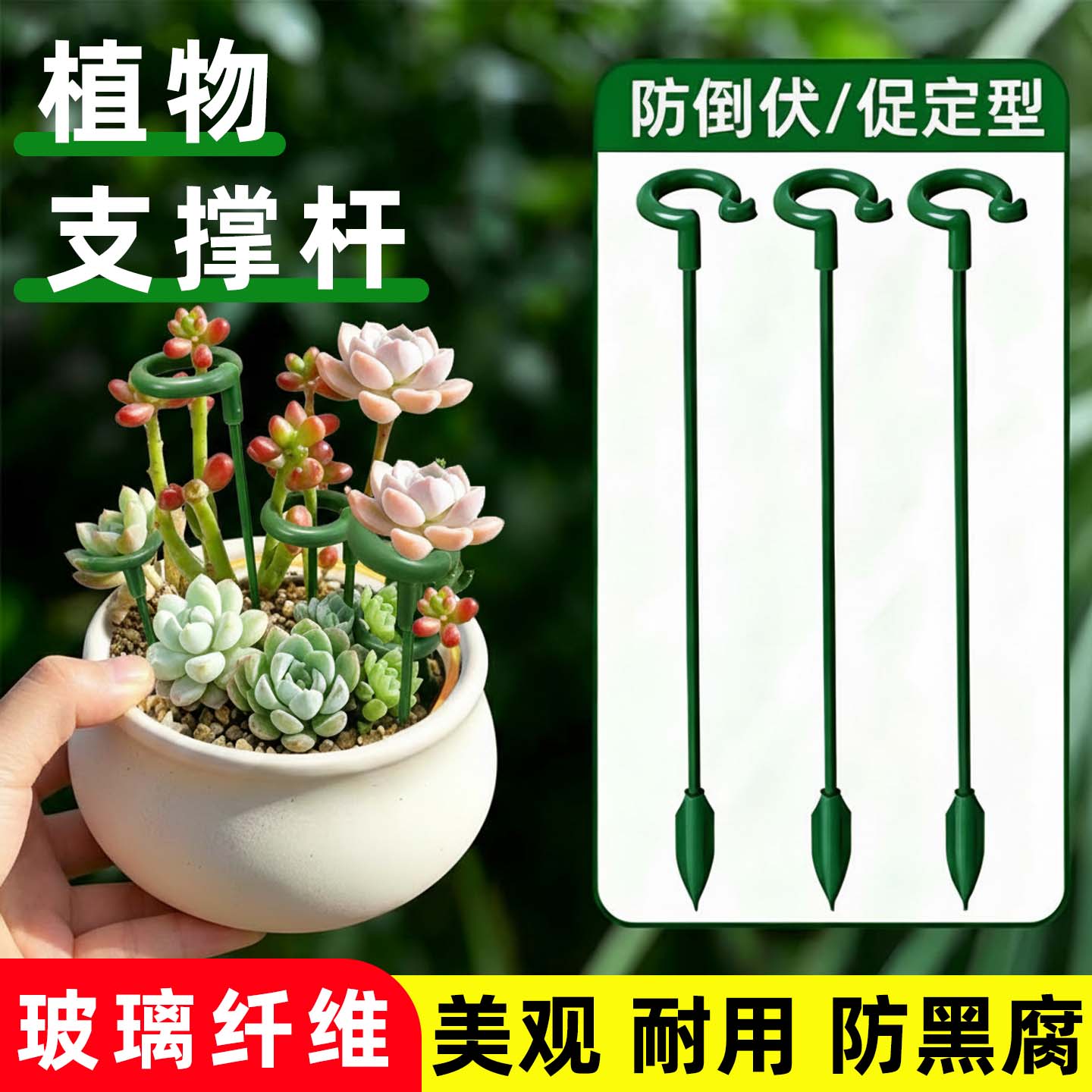 多肉专用防倒伏植物支撑杆图片