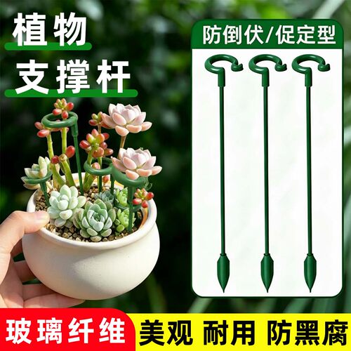 多肉专用防倒伏植物支撑杆