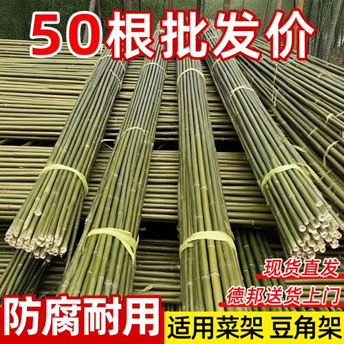 实心竹竿菜园搭架葡萄架围栏