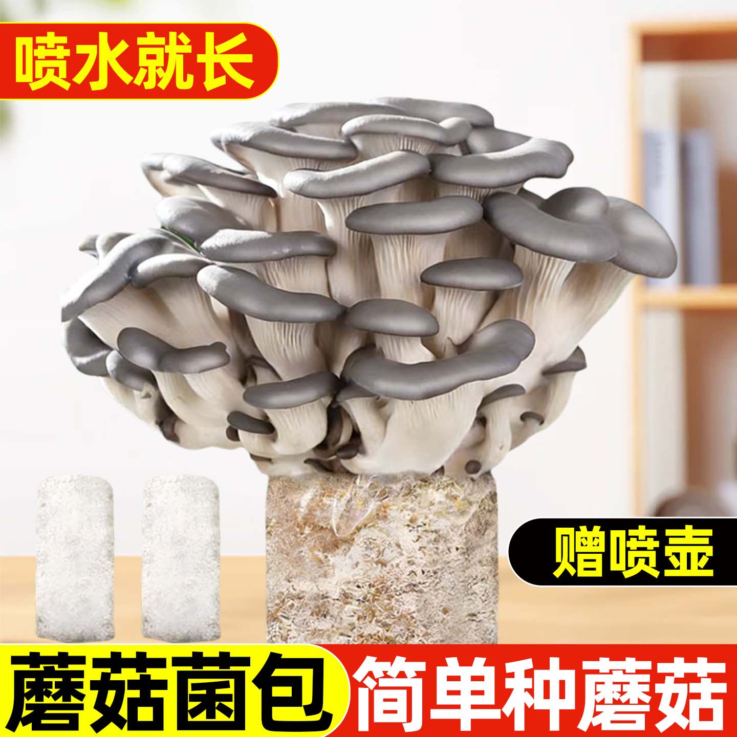 蘑菇种植包种菌菇可食用菌包家庭新鲜平菇香菇灵芝金针菇懒人种植