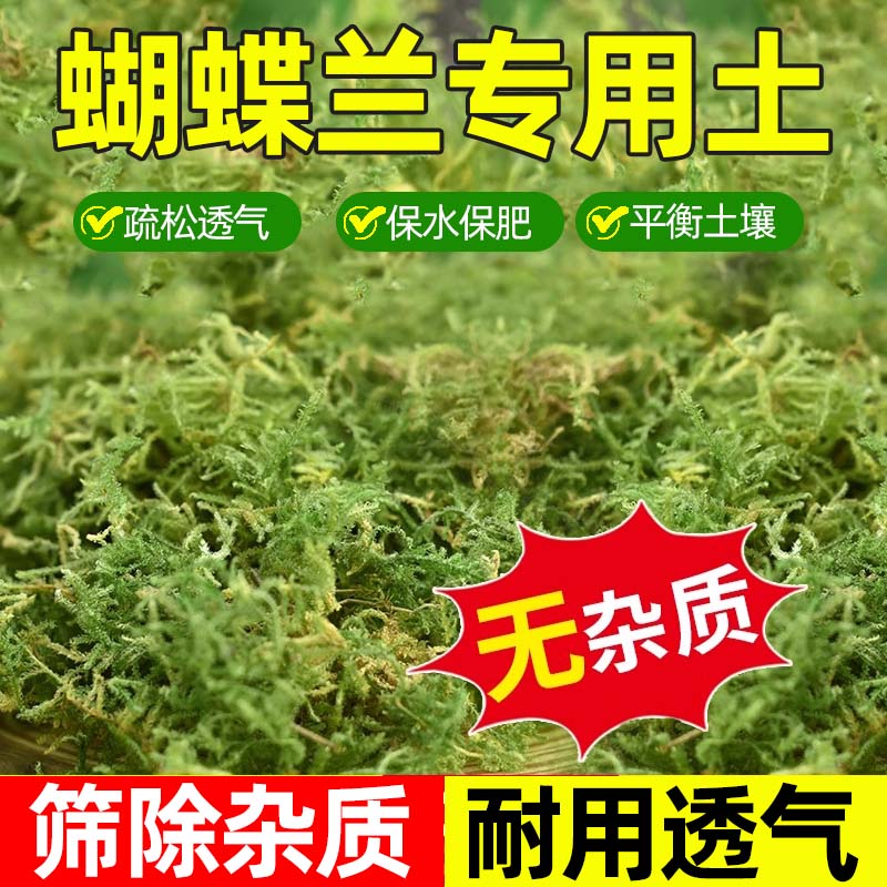 水苔蝴蝶兰专用天然干苔藓石斛