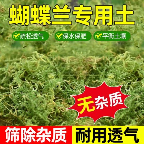 水苔蝴蝶兰专用天然干苔藓石斛