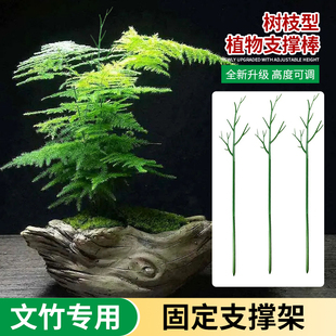 文竹支撑架文竹绿萝园艺支撑杆固定支撑架花架植物龟背竹爬藤造型