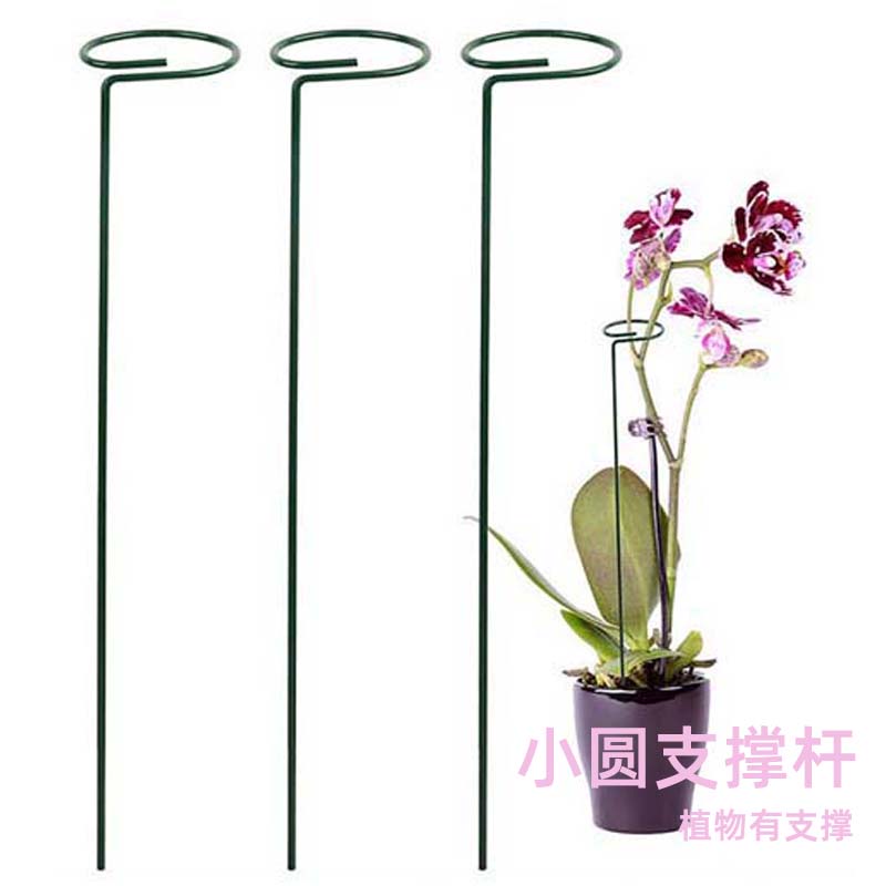 铁艺小圆防倒伏花架花园花支架