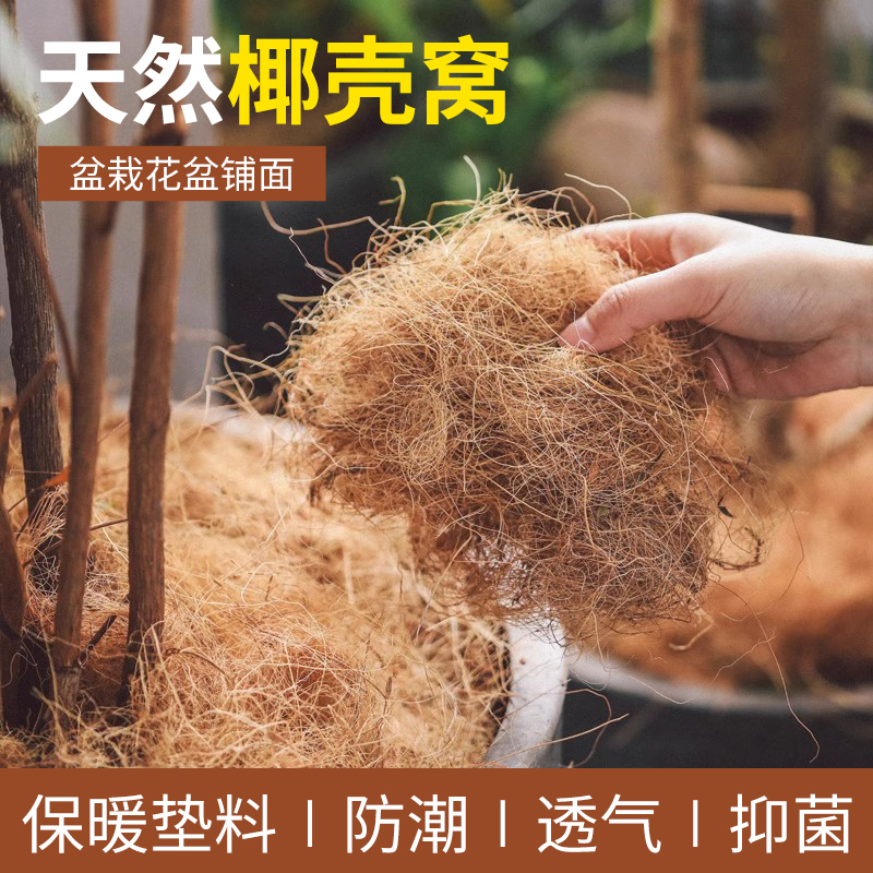 进口花盆铺面垫材椰棕丝