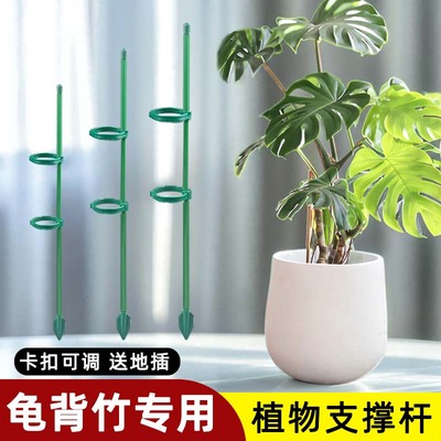 园艺支撑杆防倒伏花架固定器龟背竹花支架固定神器植物花杆爬藤杆