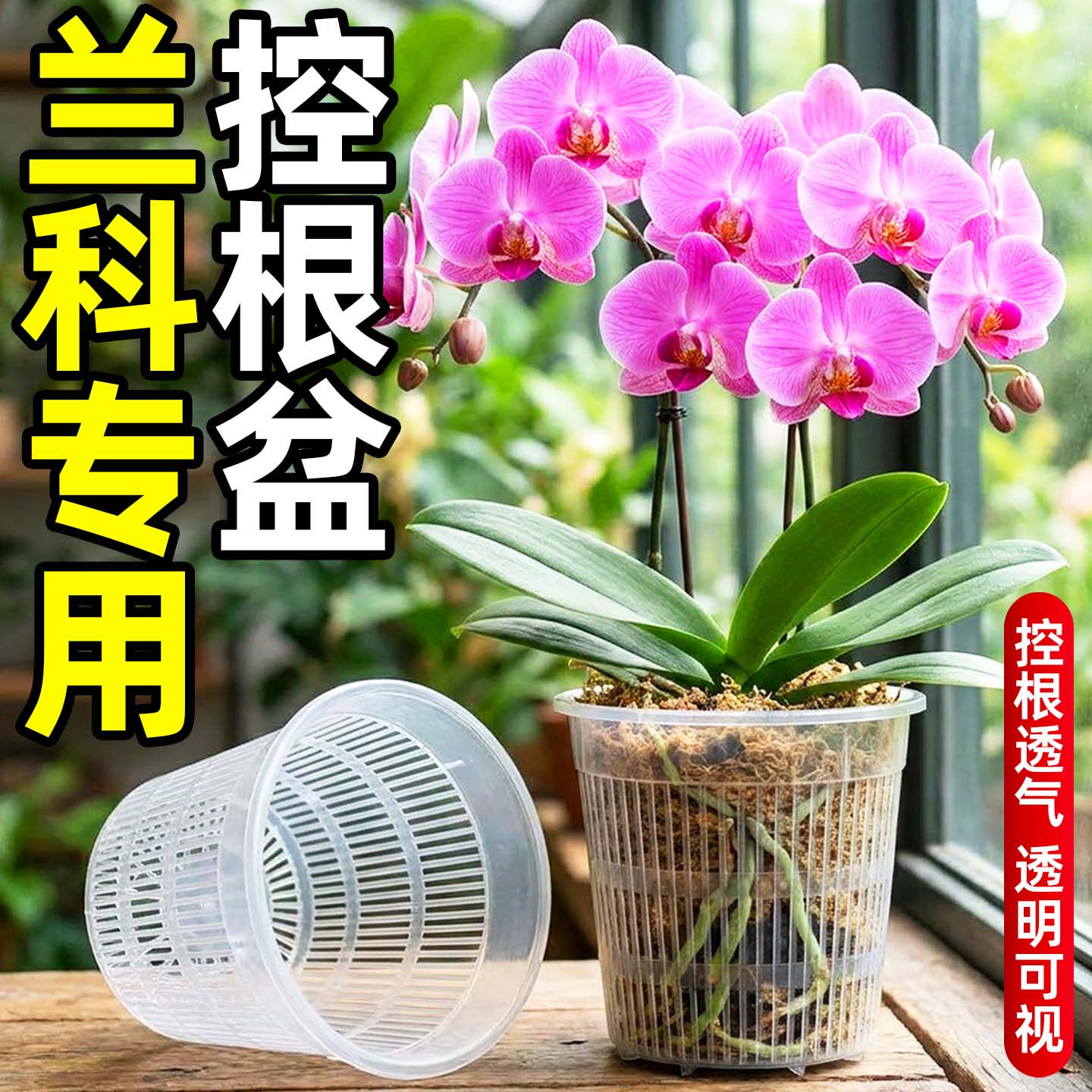 蝴蝶兰专用花盆透明控根生根盆防烂根家用塑料镂空兰花水苔控根盆