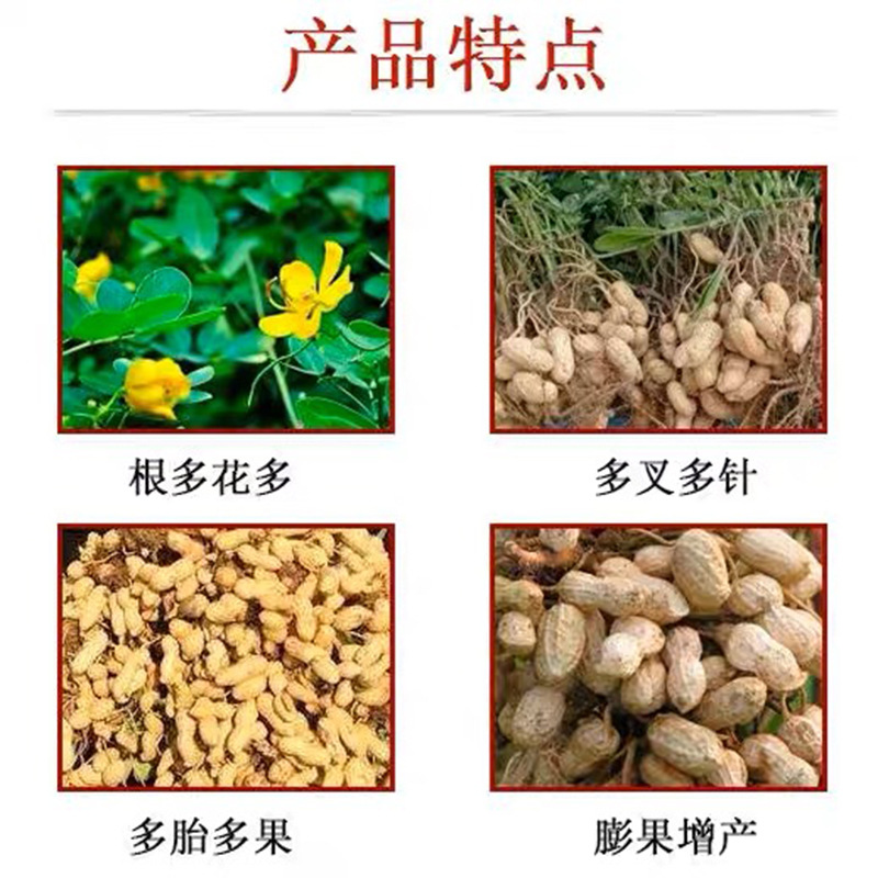 花生膨大粒粒专用肥饱满膨果高产花生营养液生根壮苗叶面肥专用肥