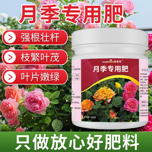 月季花肥料强根壮杆枝繁叶茂