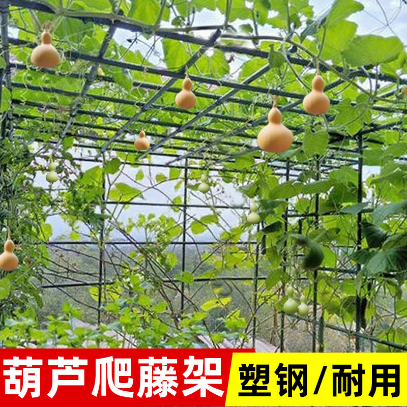 葫芦架爬藤架子月季豆角黄瓜西红柿种菜花支架庭院园艺固定支撑架,鲜花速递/花卉仿真/绿植园艺,花架,淘宝优惠券,粉丝福利购,淘宝优惠卷