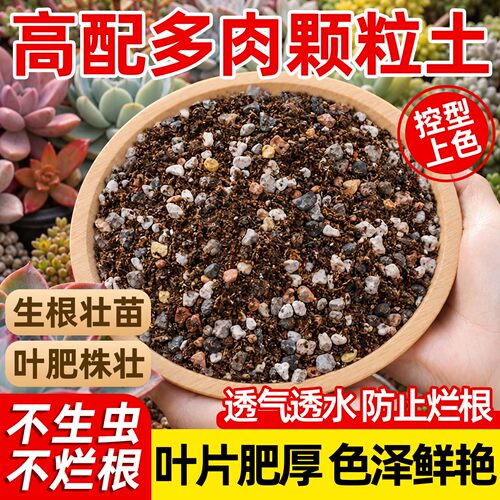 多肉专用颗粒营养土透气疏松