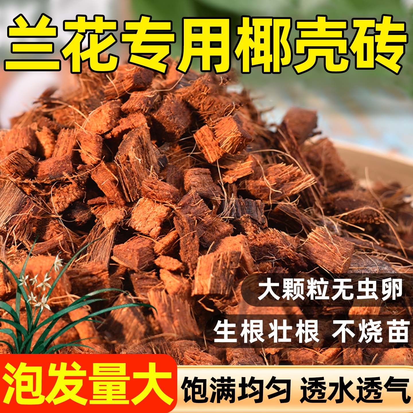 粗椰壳砖蝴蝶兰花专用植料养花种菜多肉通用椰糠土椰砖营养土颗粒