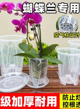 蝴蝶兰专用透明控根盆兰花花卉石斛水苔大号家用塑料透气镂空花盆