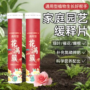 植物营养缓释片家庭园艺通用型缓释肥营养片盆栽绿植花卉果蔬肥料
