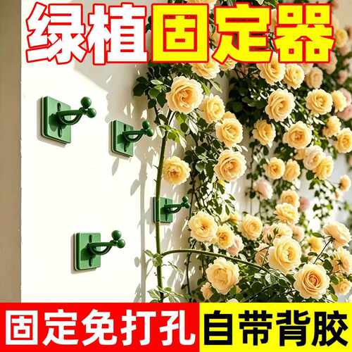 无痕自粘爬藤支架固定器