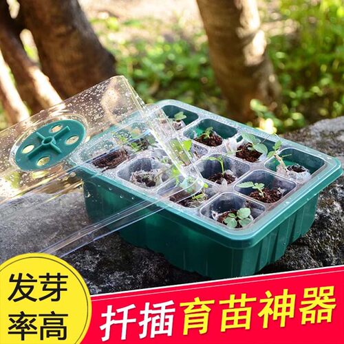 育苗盒花卉高盖三件套播种包邮
