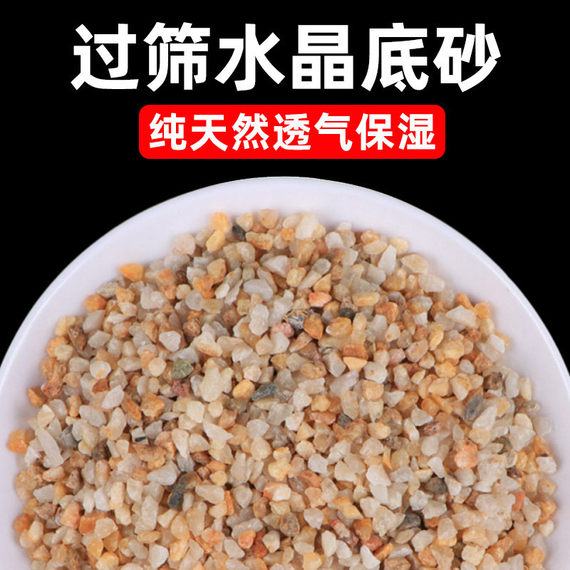河沙水晶砂天然石英砂多肉蝴蝶兰花铺面颗粒土壤鱼缸养花细粗河沙,鲜花速递/花卉仿真/绿植园艺,其它园艺用品,淘宝优惠券,粉丝福利购,淘宝优惠卷