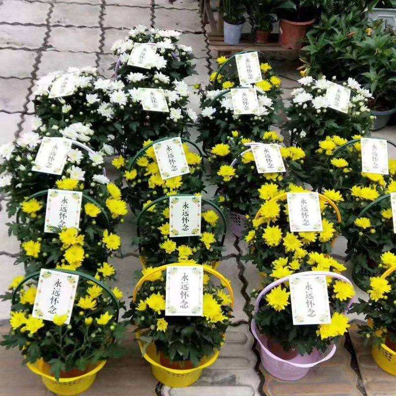 清明节扫墓篮子冬至塑料手提鲜花篮过年祭祖菊花篮插花盒祭祀卡片