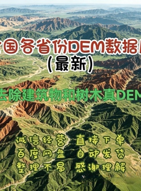 全球DEM高精度DEM数据数字高程模型全国DEM全球DEM