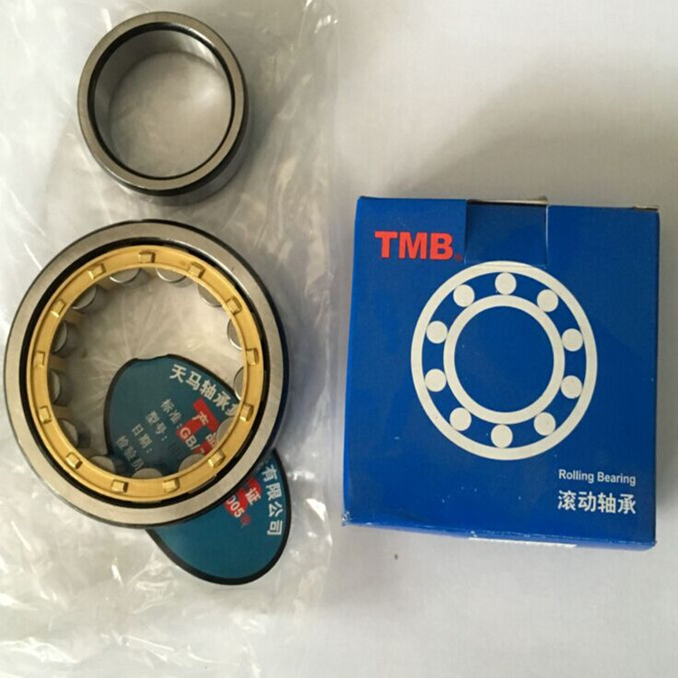 天马TMB偏心轴承RN204EM/205/206/307/309/RN312EM圆柱滚子轴承