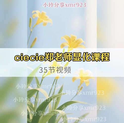 ciecie郑老师显化课程35节视频