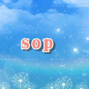 2026成为你sop视频及音频