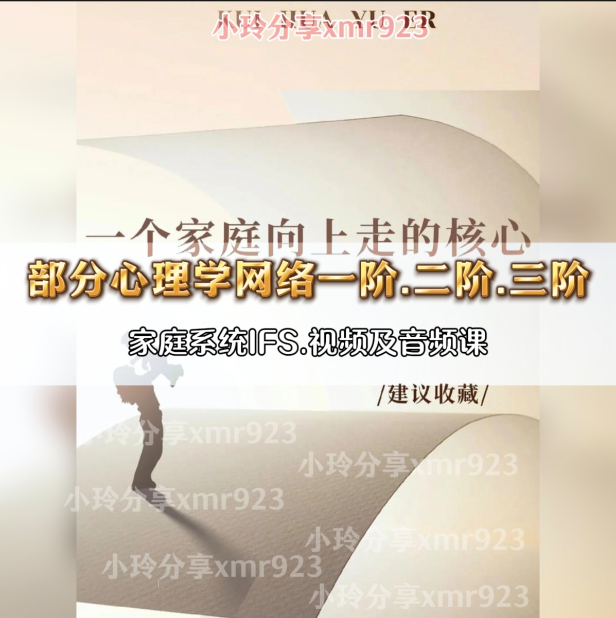 部分心理学网络一阶二阶三阶视频及音频 情绪梳理个案课 117节