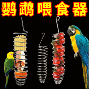 宠物喂食用具鹦鹉玄凤虎皮小鸟水果叉蔬菜苹果鸟用喂食器悬挂进食