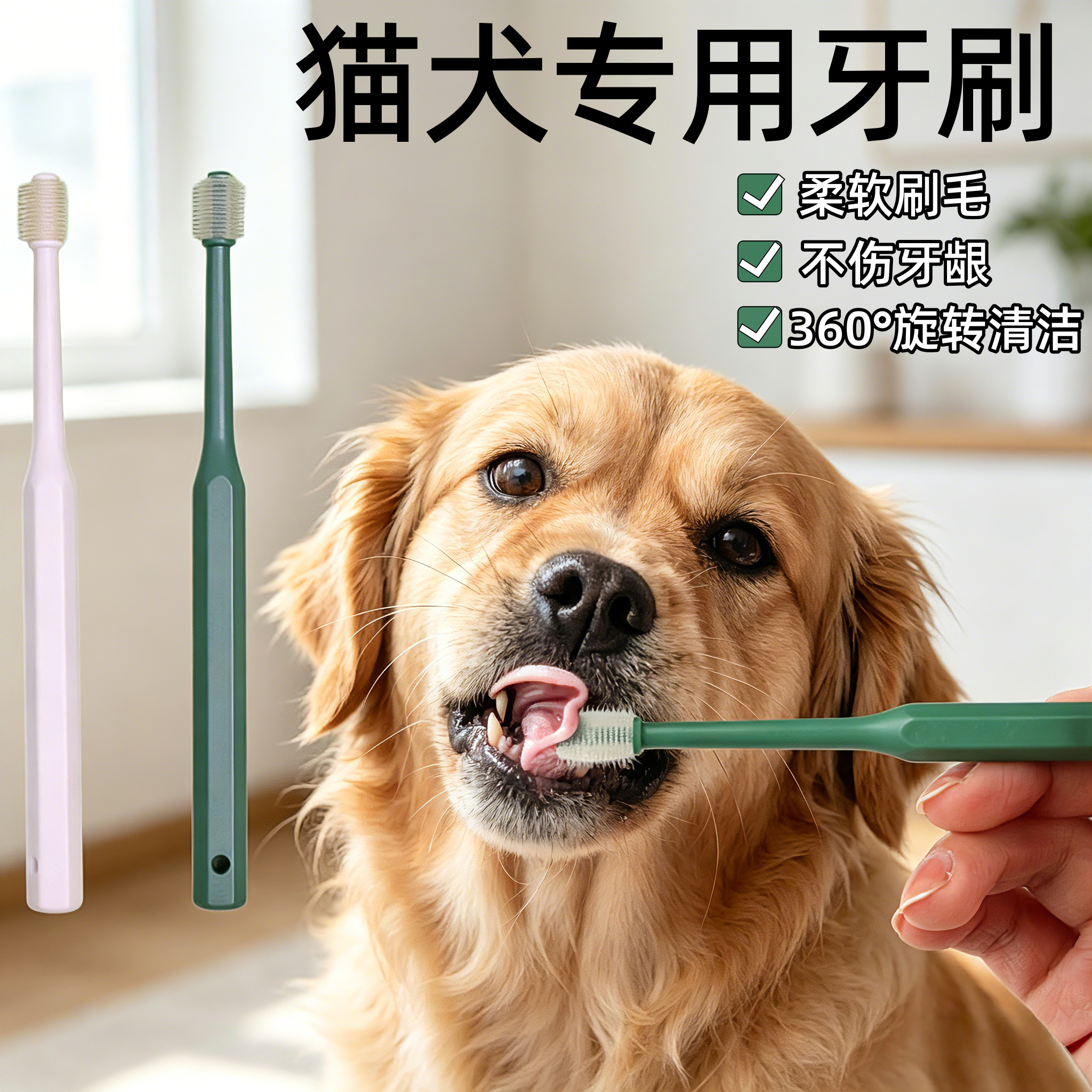 宠物牙刷360度无死角 小猫咪狗狗牙齿专用圆头万毛口腔清洁刷子