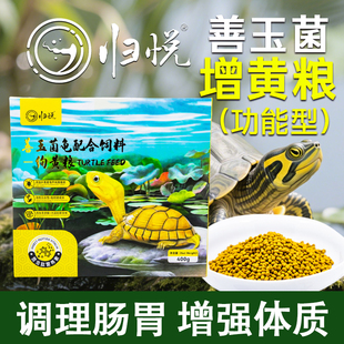 归悦龟粮增黄善玉菌黄喉小青头盔蛋龟黄泽水龟发色黄缘箱龟专用粮