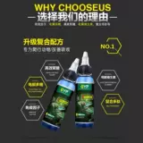 GYP Electrolyte Многомерная рогатая лягушка ящерицы