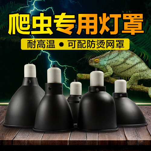爬虫灯罩反射聚热加热灯灯罩