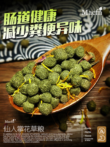 陆龟粮仙人掌花草粮饲料水果粮